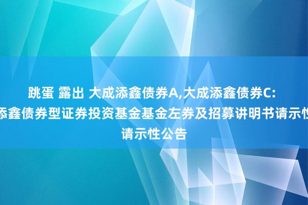 跳蛋 露出 大成添鑫债券A，大成添鑫债券C: 大成添鑫债券型证券投资基金基金左券及招募讲明书请示性公告