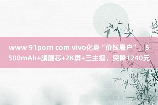 www 91porn com vivo化身“价钱屠户”，5500mAh+旗舰芯+2K屏+三主摄，突降1240元