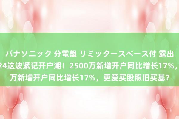 パナソニック 分電盤 リミッタースペース付 露出・半埋込両用形 2024这波紧记开户潮！2500万新增开户同比增长17%，更爱买股照旧买基？