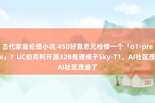 古代家庭伦理小说 450好意思元检修一个「o1-preview」？UC伯克利开源32B推理模子Sky-T1，AI社区茂盛了