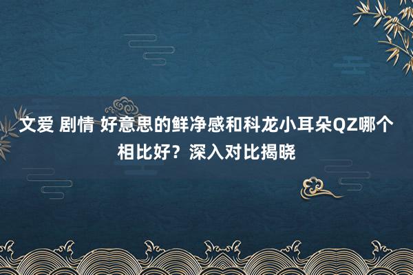 文爱 剧情 好意思的鲜净感和科龙小耳朵QZ哪个相比好？深入对比揭晓