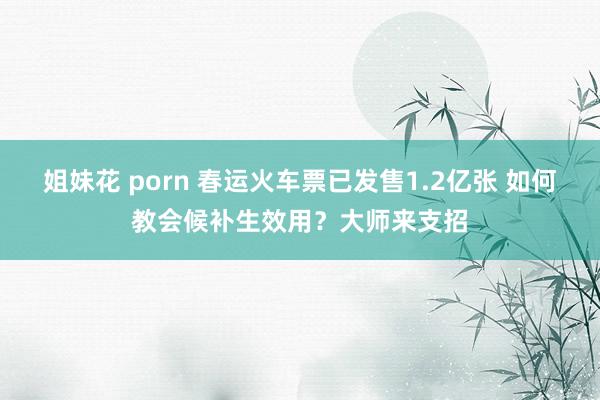 姐妹花 porn 春运火车票已发售1.2亿张 如何教会候补生效用？大师来支招